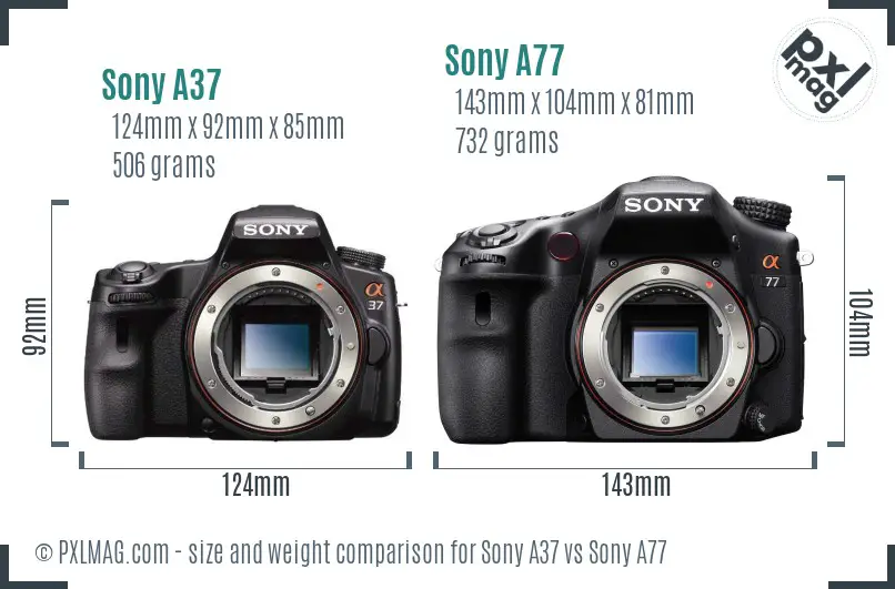 Sony A37 vs Sony A77 size comparison
