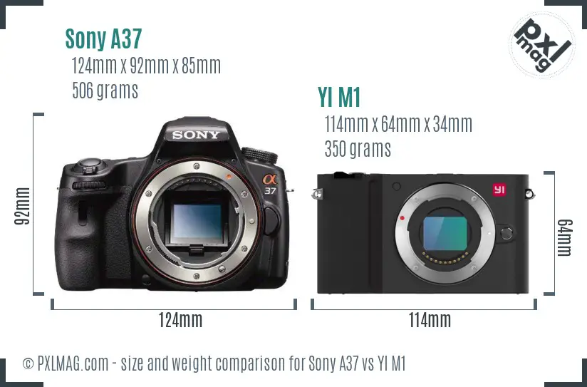 Sony A37 vs YI M1 size comparison