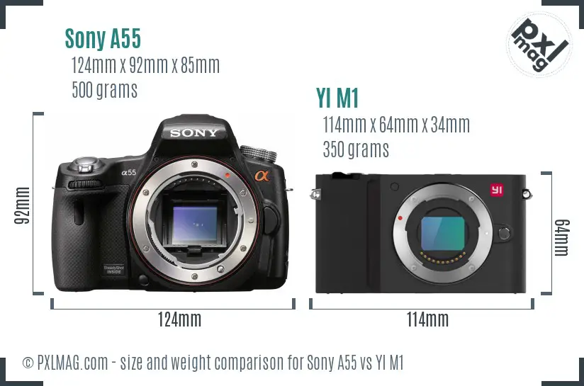 Sony A55 vs YI M1 size comparison