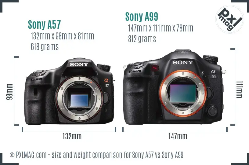 Sony A57 vs Sony A99 size comparison