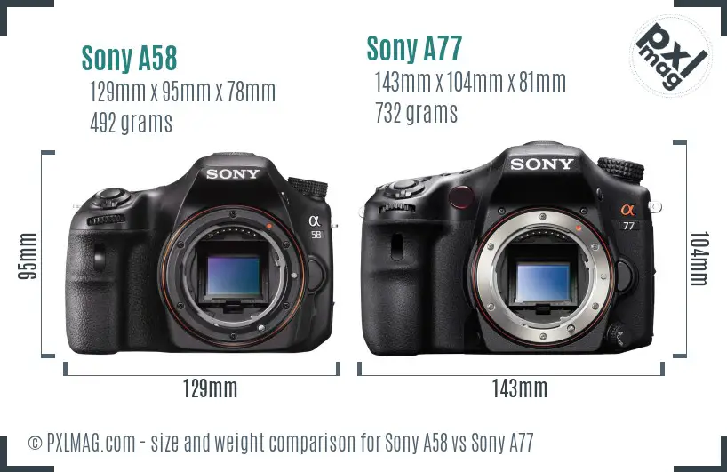Sony A58 vs Sony A77 size comparison