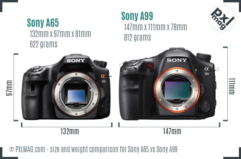 Sony A65 vs Sony A99 size comparison