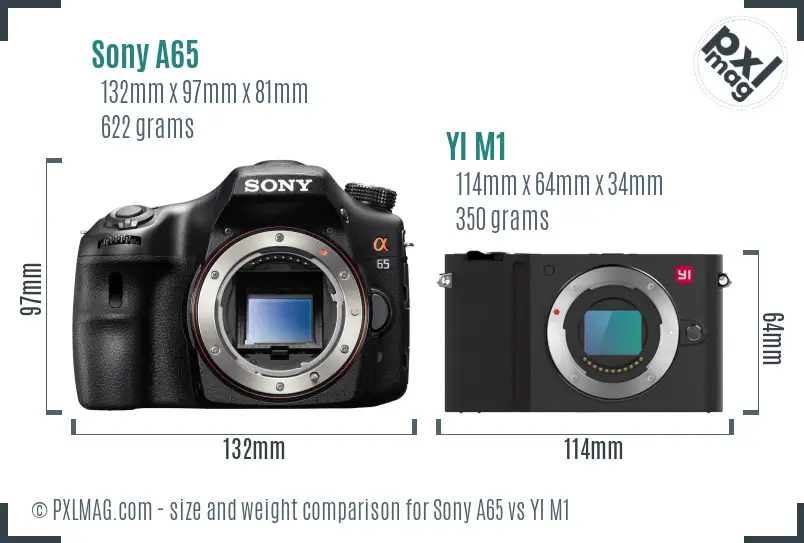Sony A65 vs YI M1 size comparison