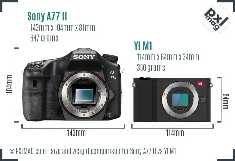 Sony A77 II vs YI M1 size comparison