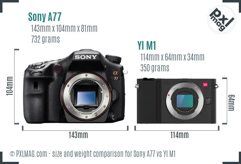 Sony A77 vs YI M1 size comparison