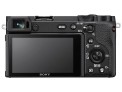Sony A6600 screen back thumbnail