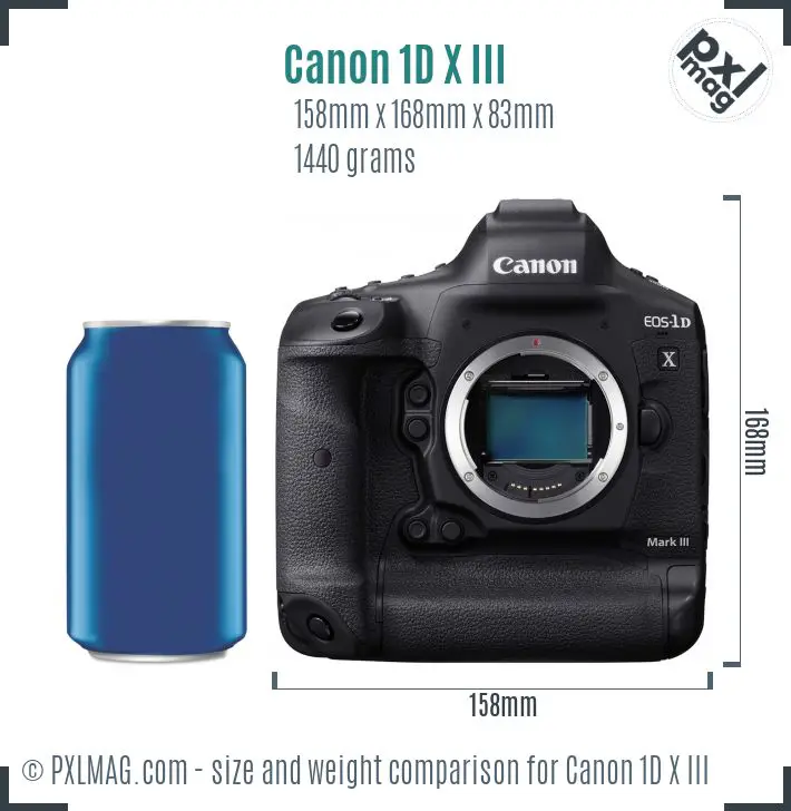 Canon EOS-1D X Mark III dimensions scale