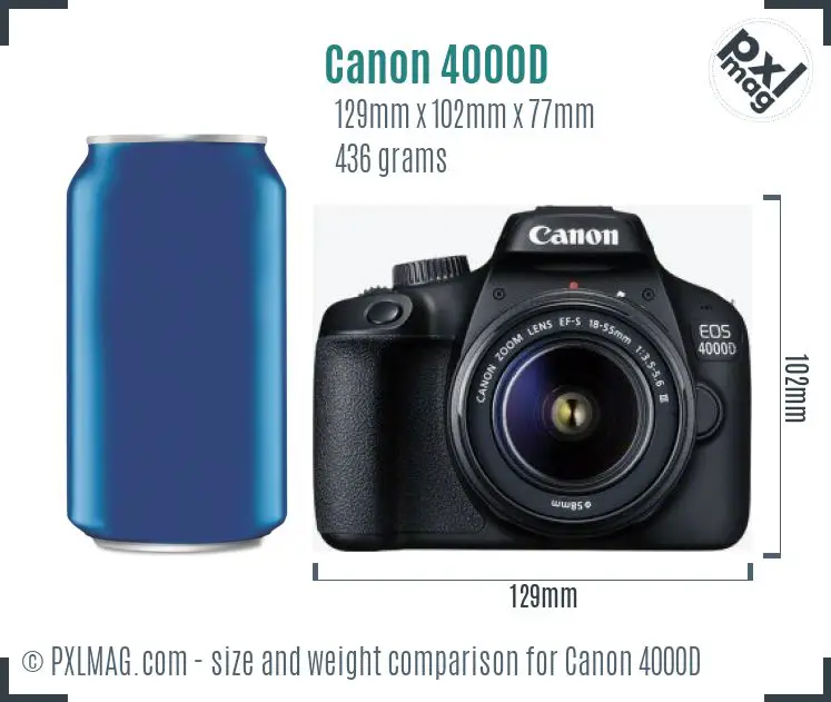Canon EOS 4000D dimensions scale