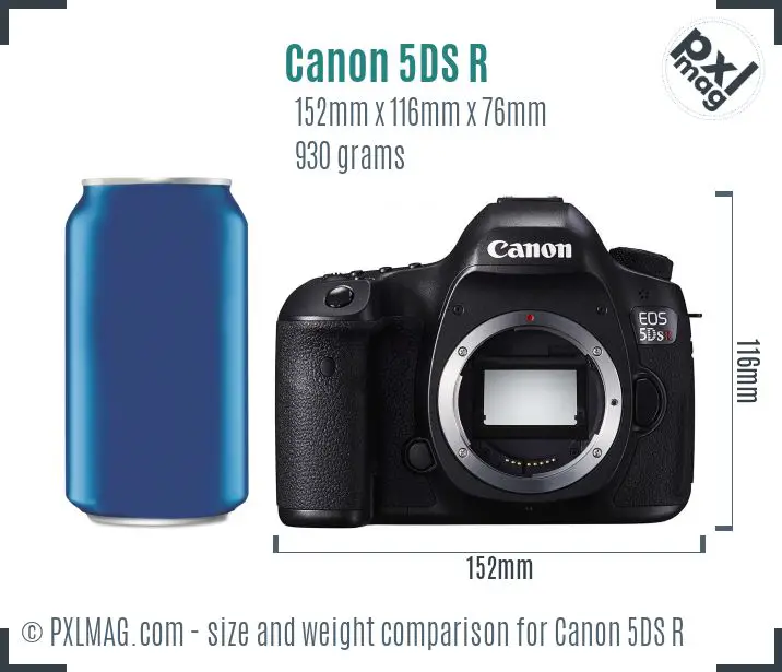 Canon EOS 5DS R dimensions scale