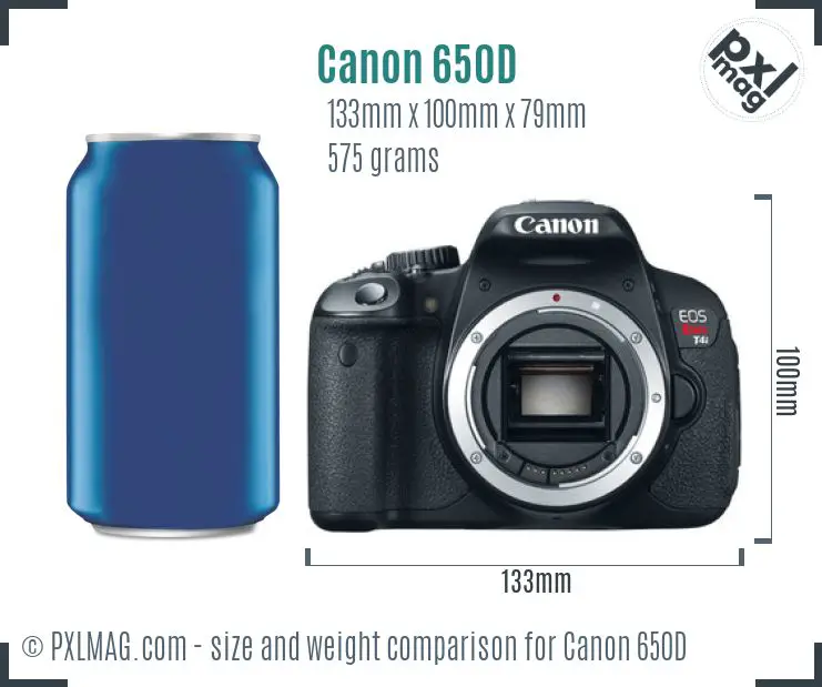 Canon EOS 650D dimensions scale