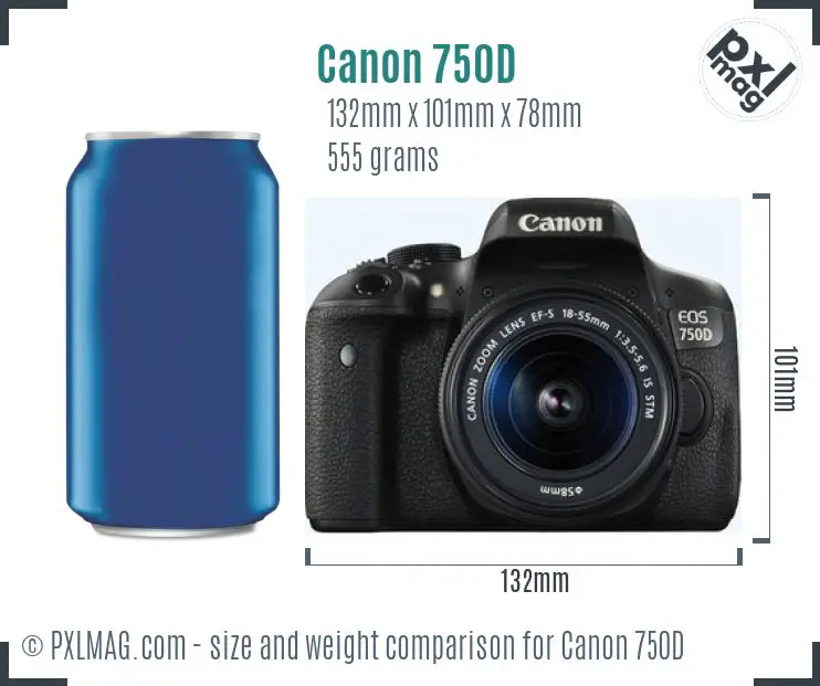 Canon EOS 750d dimensions scale
