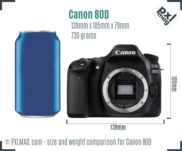 Canon EOS 80D dimensions scale