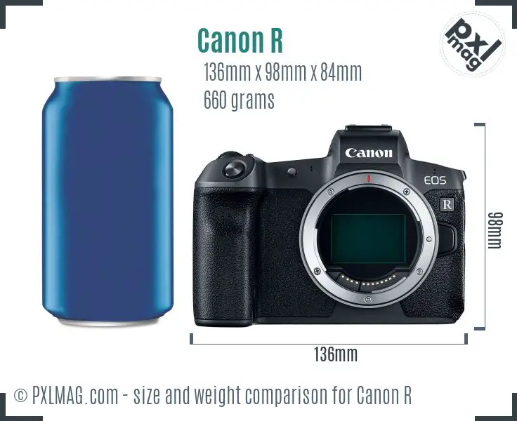 Canon EOS R dimensions scale
