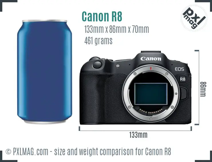 Canon EOS R8 dimensions scale