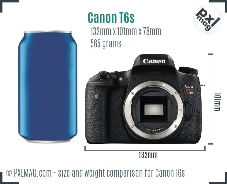 Canon EOS Rebel T6s dimensions scale