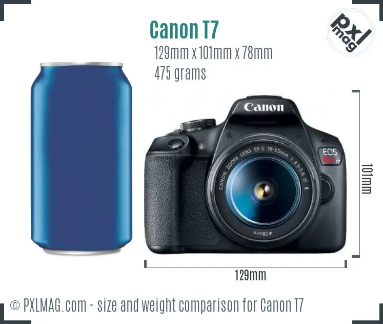 Canon EOS Rebel T7 dimensions scale