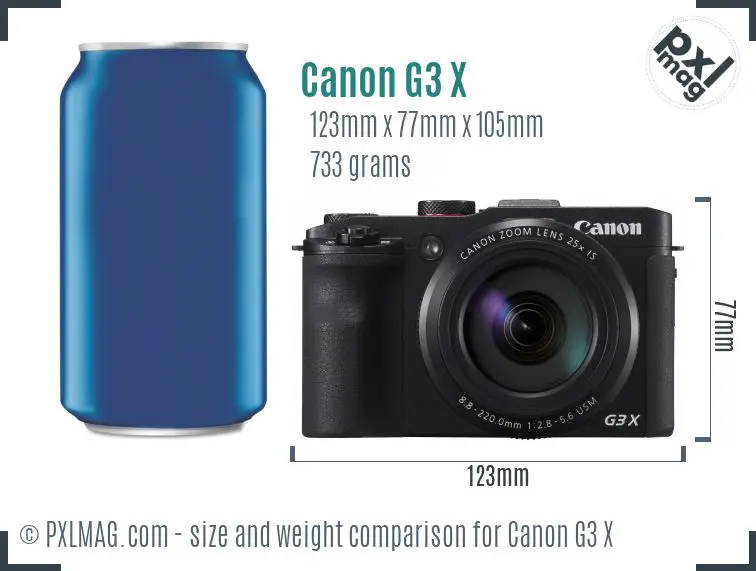 Canon PowerShot G3 X dimensions scale