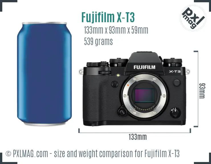 Fujifilm X-T3 dimensions scale