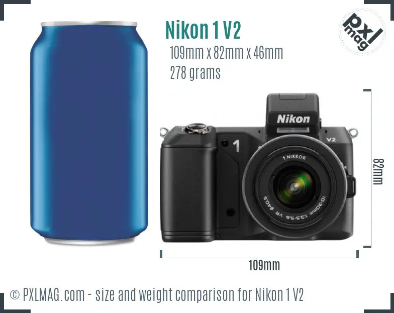 Nikon 1 V2 dimensions scale
