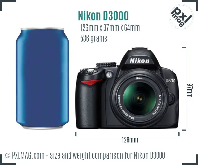 Nikon D3000 dimensions scale