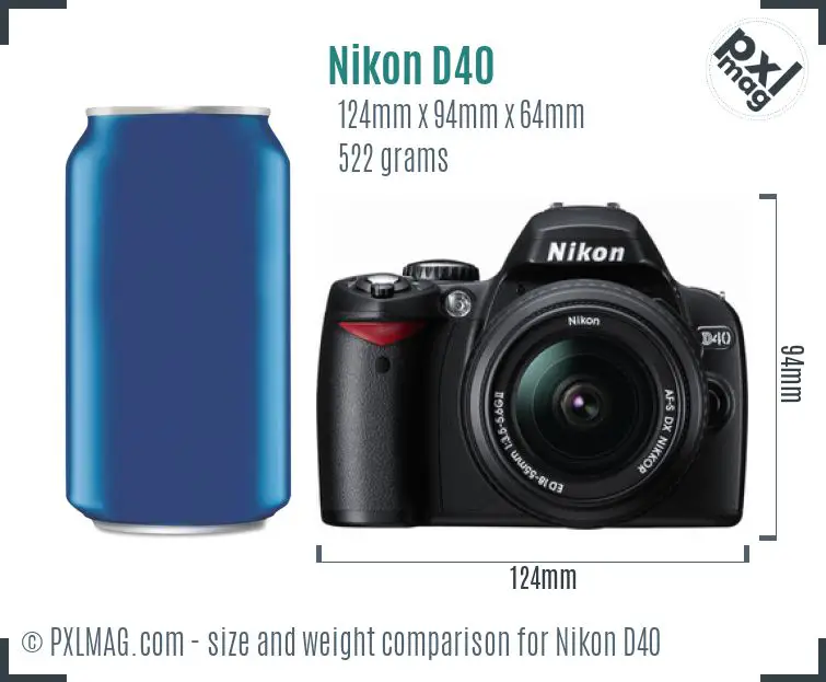 Nikon D40 dimensions scale