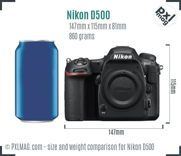 Nikon D500 dimensions scale
