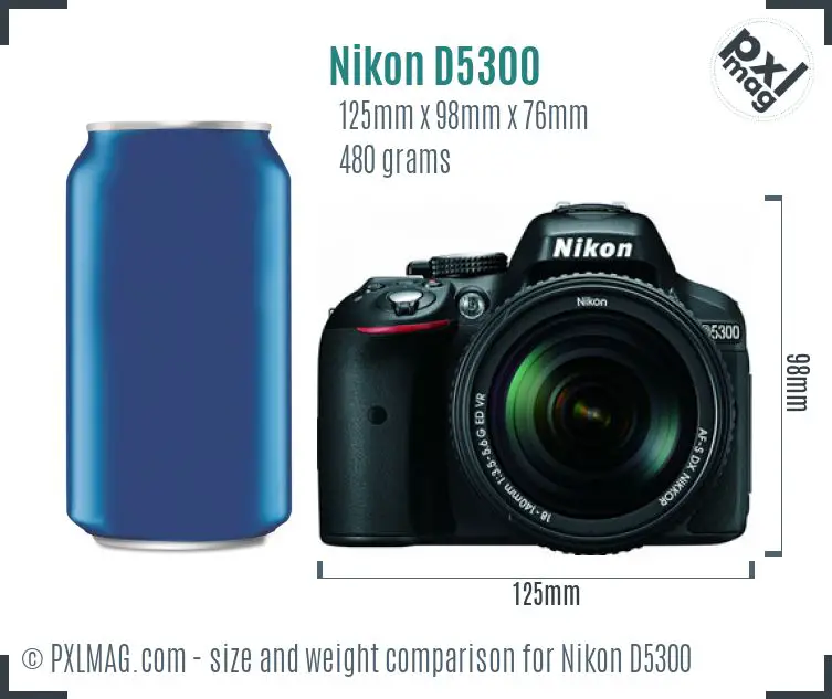 Nikon D5300 dimensions scale