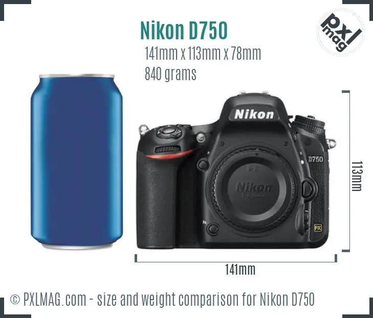 Nikon D750 dimensions scale