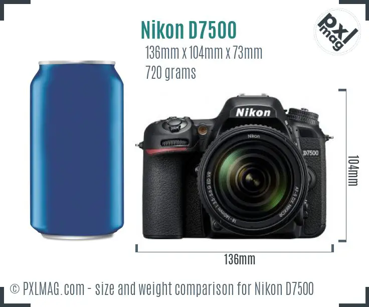 Nikon D7500 dimensions scale