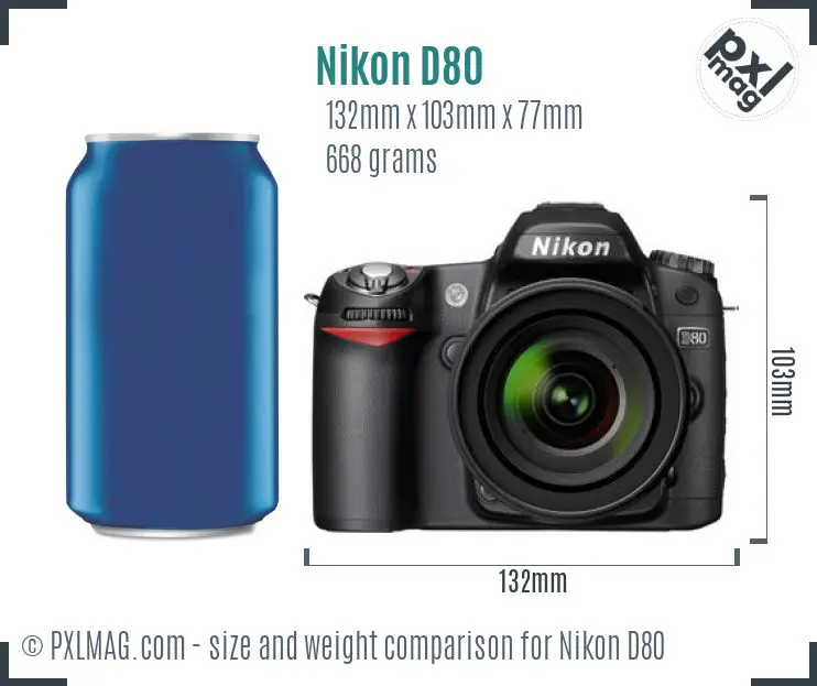 Nikon D80 dimensions scale