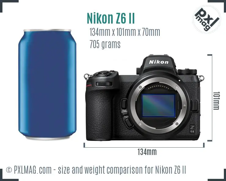 Nikon Z6 Mark II dimensions scale