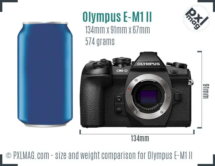 Olympus OM-D E-M1 Mark II dimensions scale