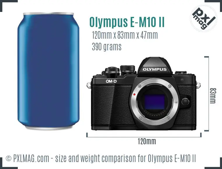 Olympus OM-D E-M10 II dimensions scale