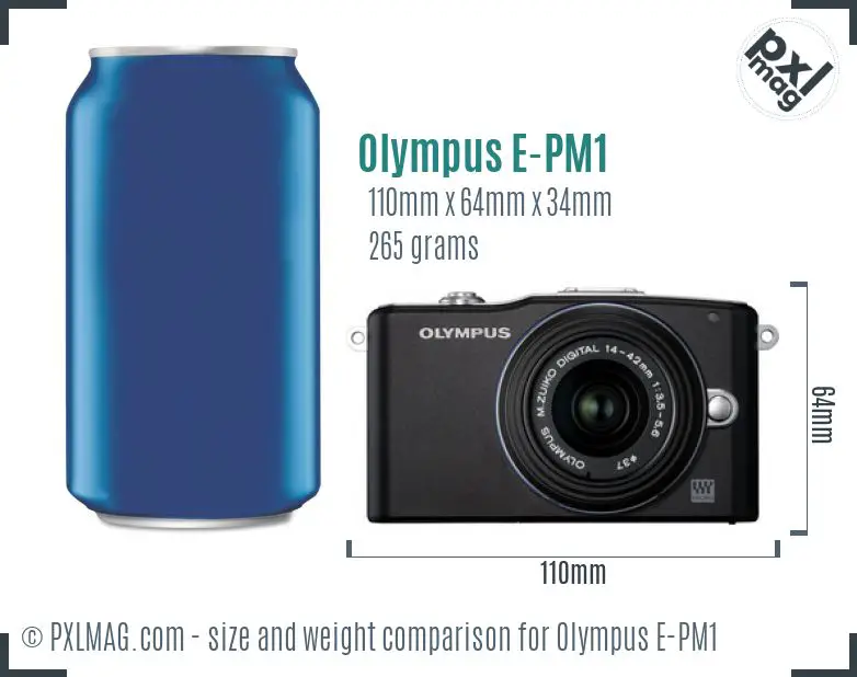 Olympus PEN E-PM1 dimensions scale