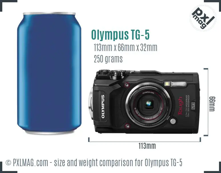 Olympus Tough TG-5 dimensions scale