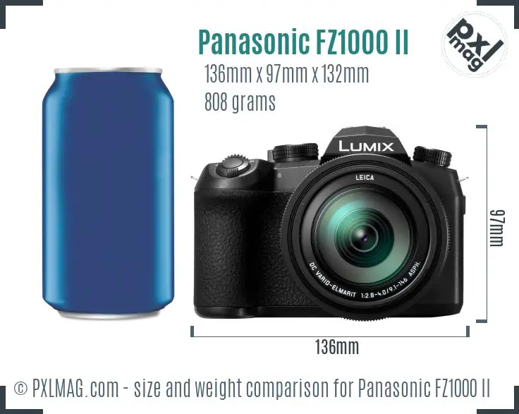 Panasonic Lumix DC-FZ1000 II dimensions scale