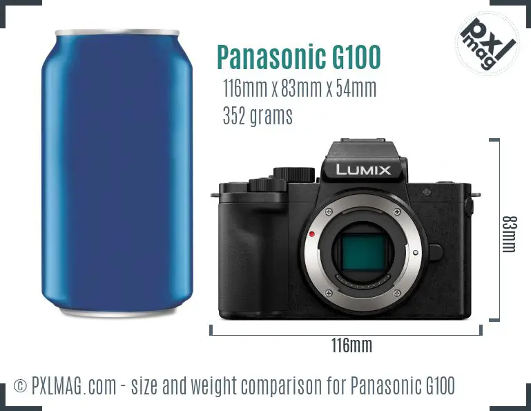 Panasonic Lumix DC-G100 dimensions scale