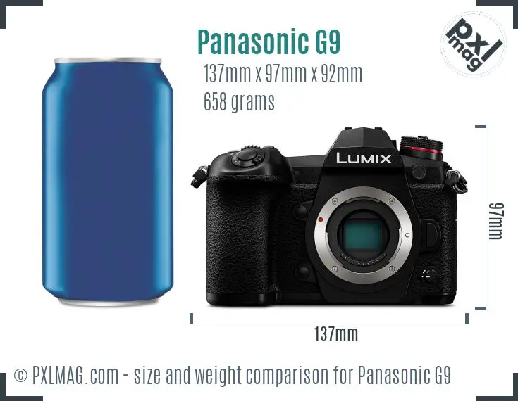 Panasonic Lumix DC-G9 dimensions scale