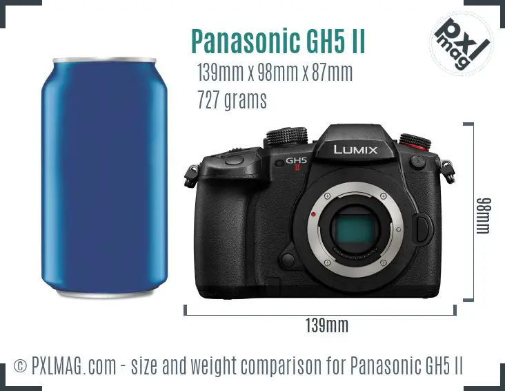 Panasonic Lumix DC-GH5 II dimensions scale