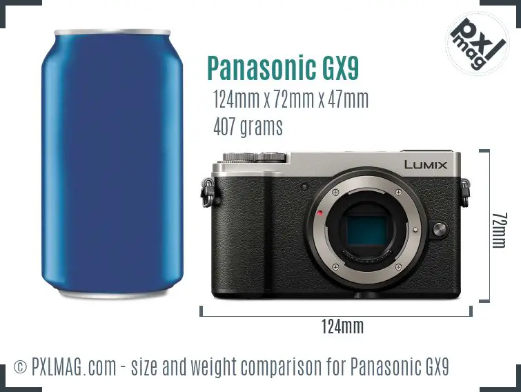 Panasonic Lumix DC-GX9 dimensions scale