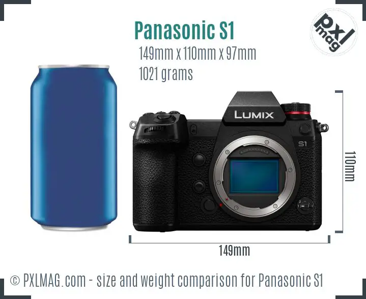 Panasonic Lumix DC-S1 dimensions scale