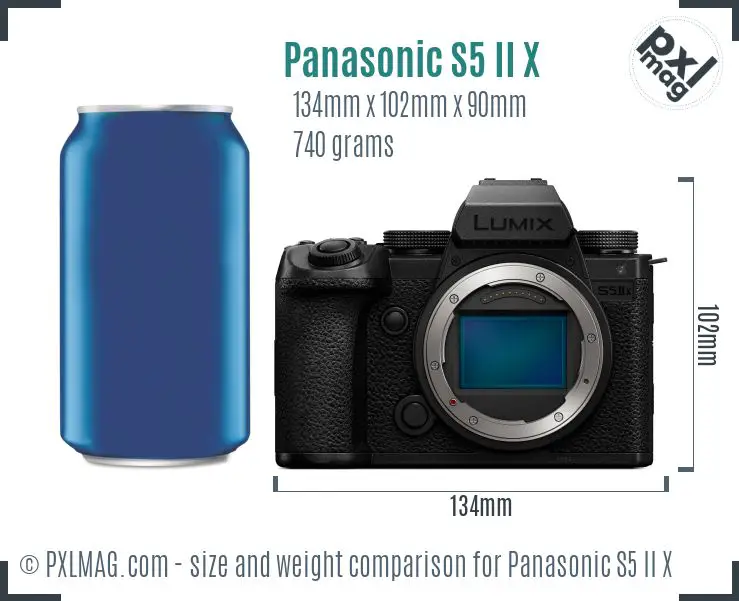 Panasonic Lumix DC-S5 Mark II X dimensions scale