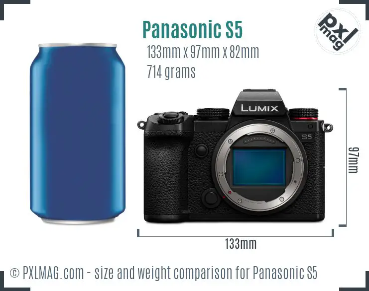 Panasonic Lumix DC-S5 dimensions scale