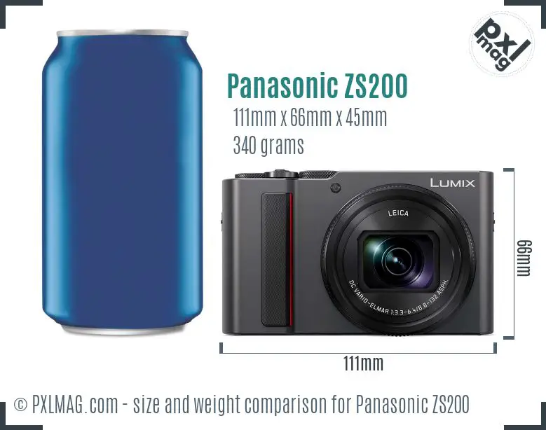 Panasonic Lumix DC-ZS200 dimensions scale