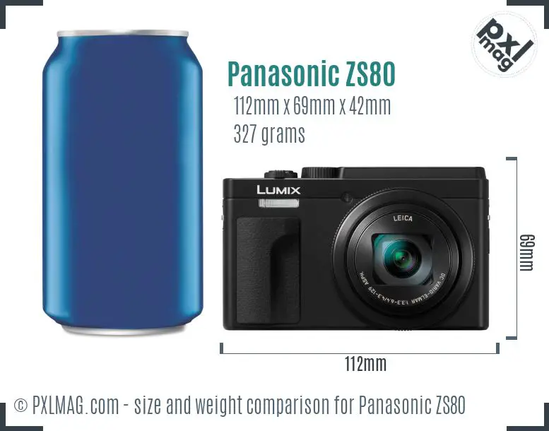 Panasonic Lumix DC-ZS80 dimensions scale