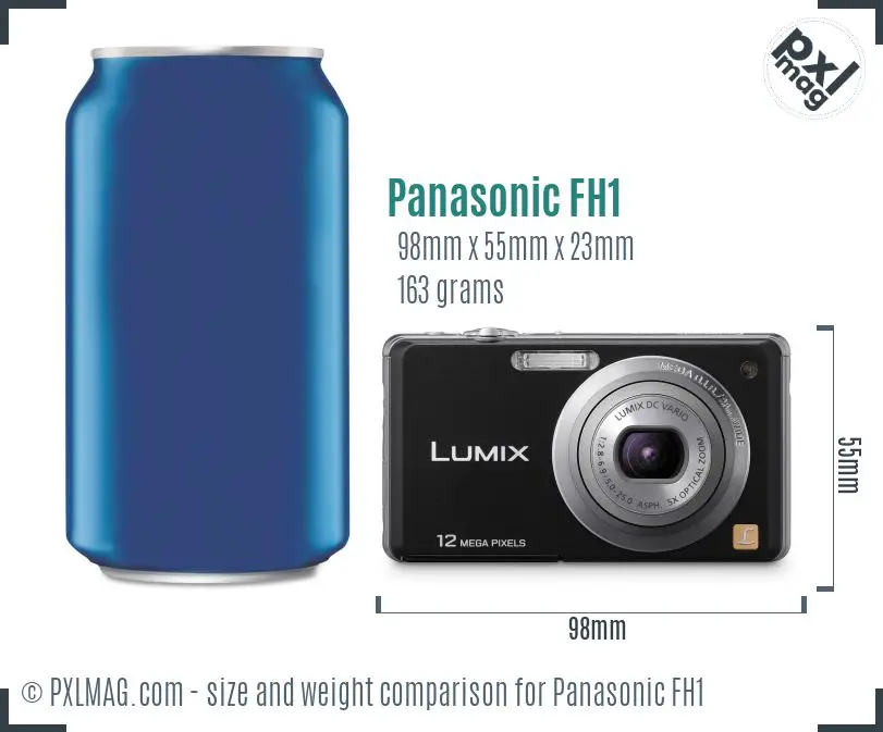 Panasonic Lumix DMC-FH1 dimensions scale
