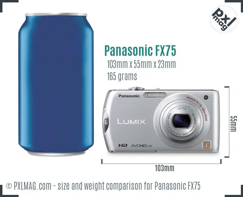 Panasonic Lumix DMC-FX75 dimensions scale
