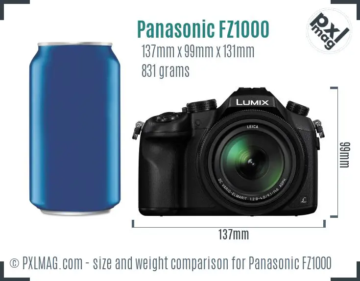 Panasonic Lumix DMC-FZ1000 dimensions scale