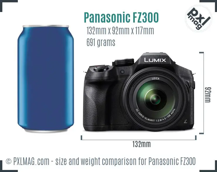 Panasonic Lumix DMC-FZ300 dimensions scale
