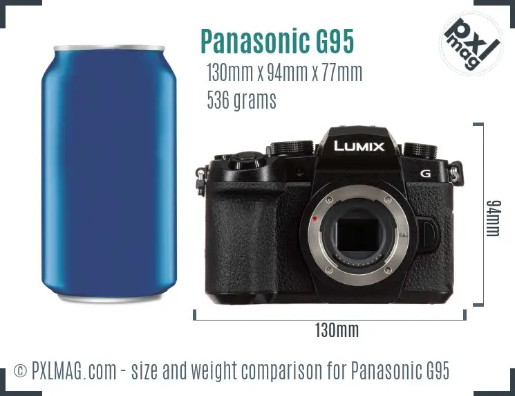 Panasonic Lumix DMC-G95 dimensions scale
